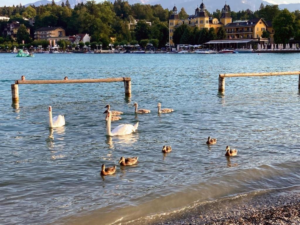 Appartement Mittagskogel Velden am Wörthersee Exteriér fotografie
